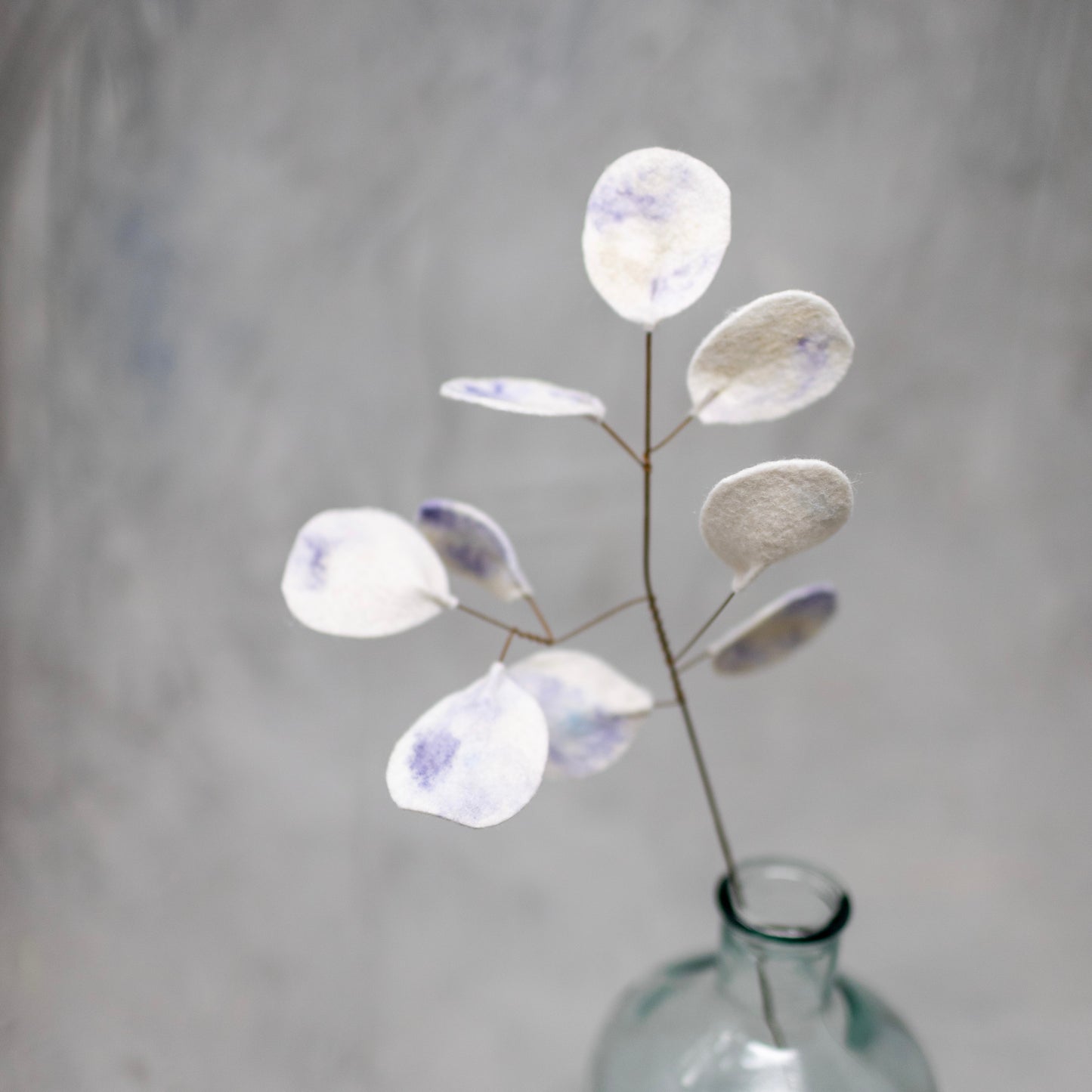 Lunaria (Money Plant) Stem