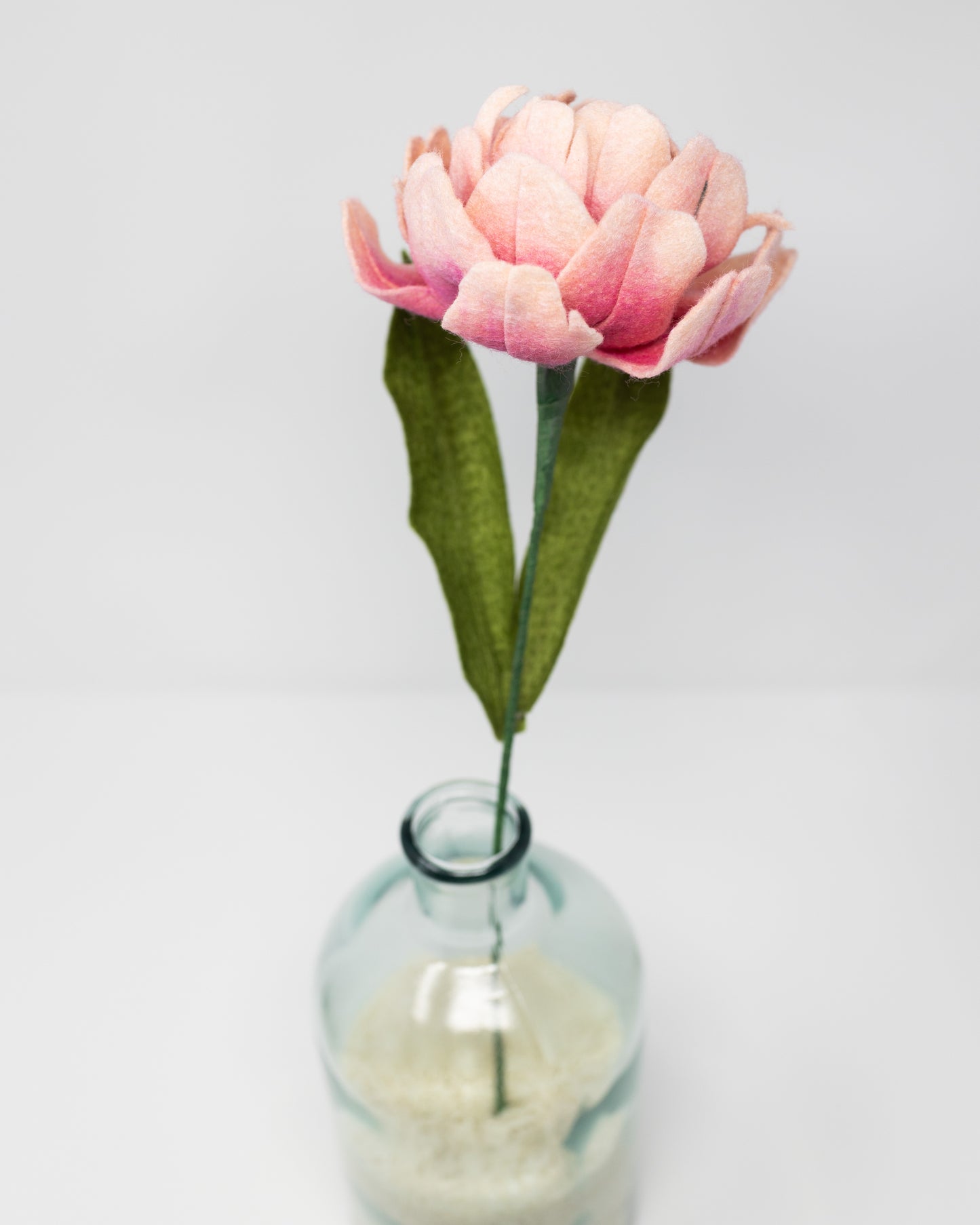 Double Tulip or Peony Tulip