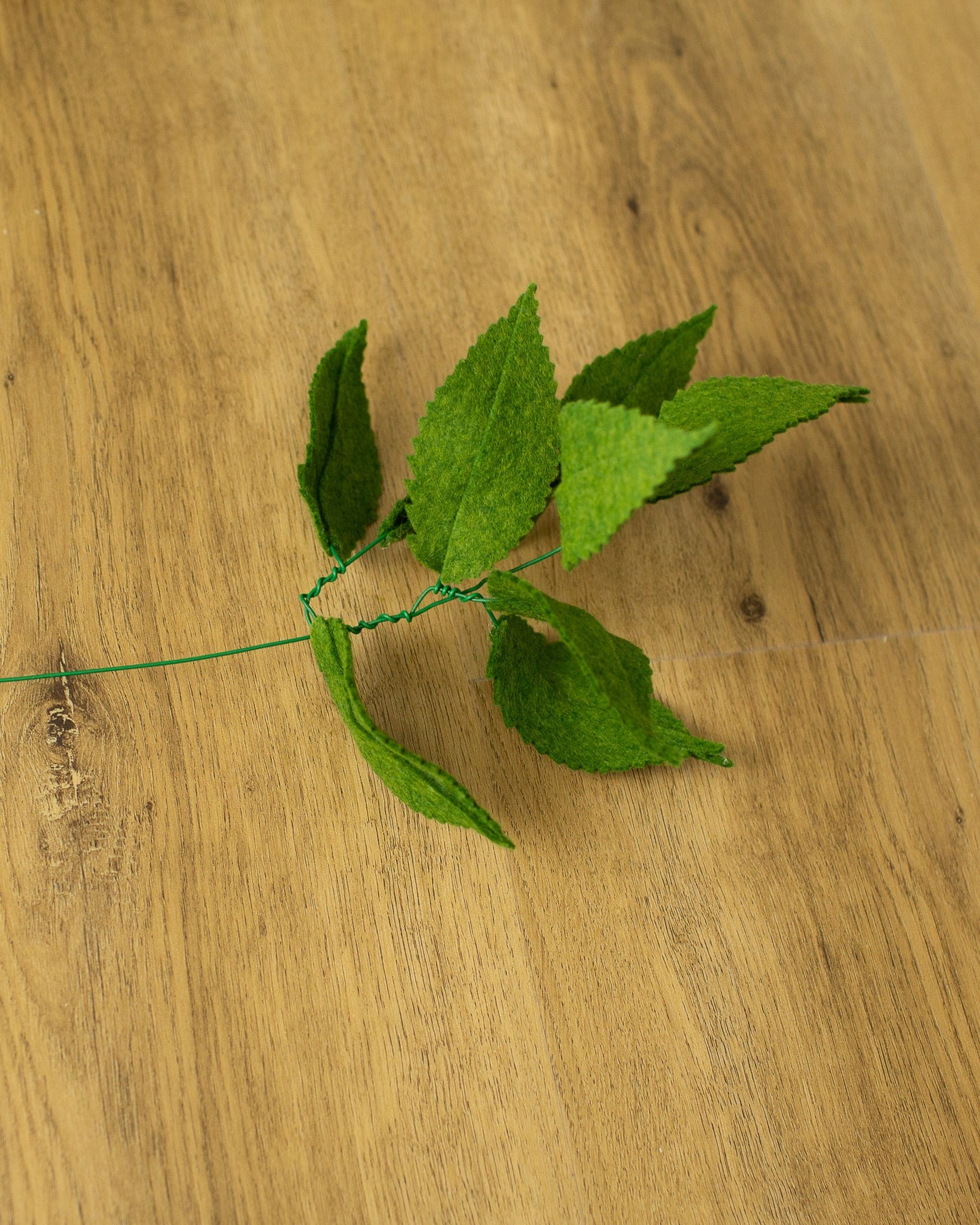 Sweet Chestnut Leaf Stem