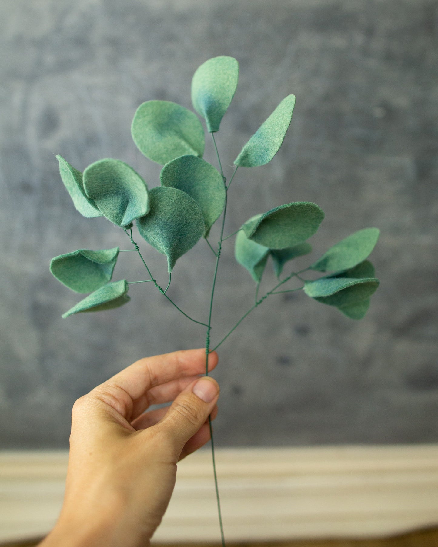 Silver Dollar Eucalyptus Leaf Stem