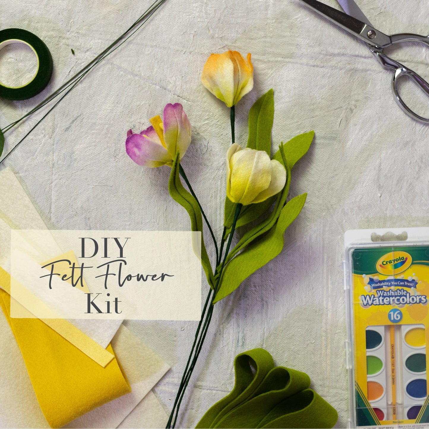 Tulip and Watercolor DIY Kit