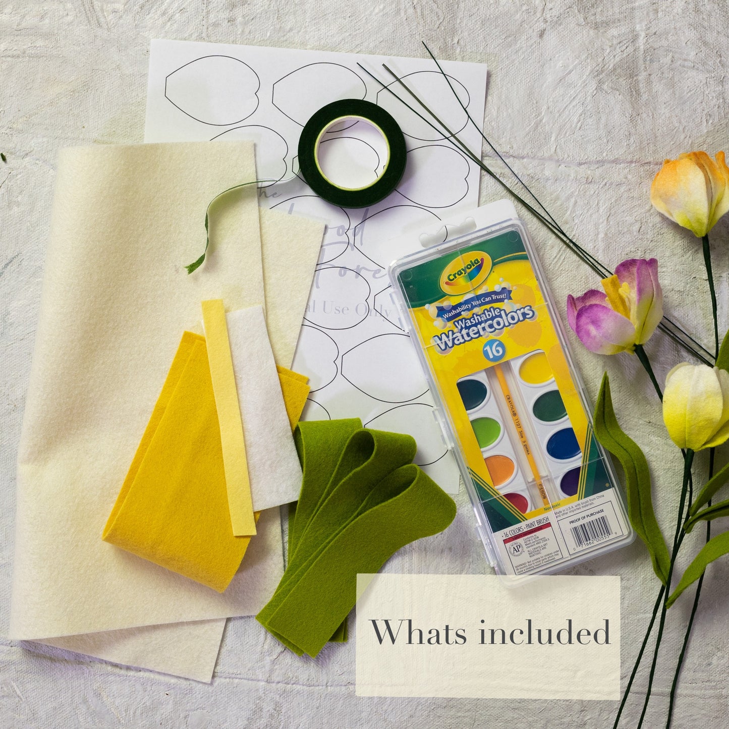 Tulip and Watercolor DIY Kit